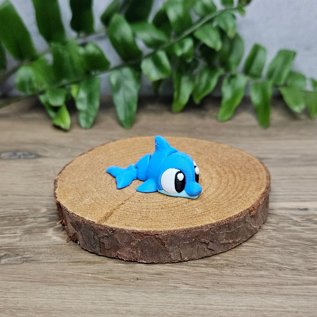 Mini Dolphin