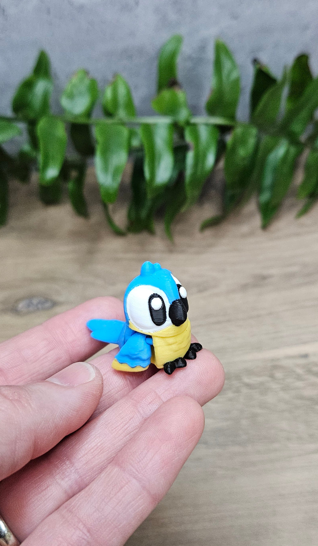 Mini Macaw