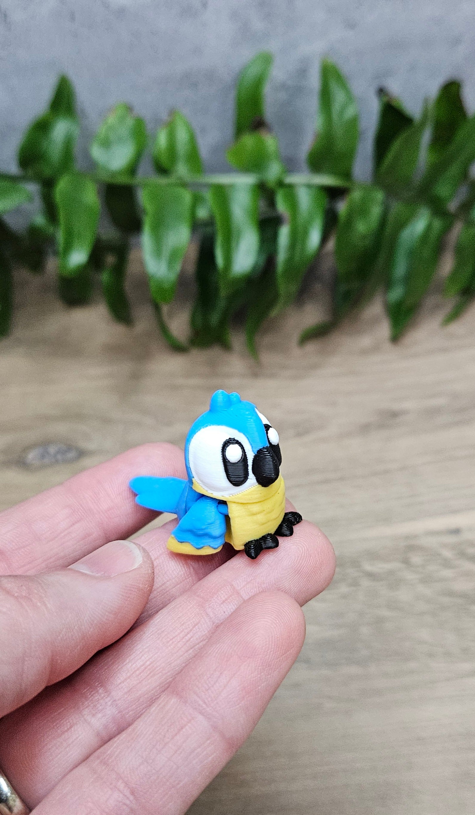 Mini Macaw
