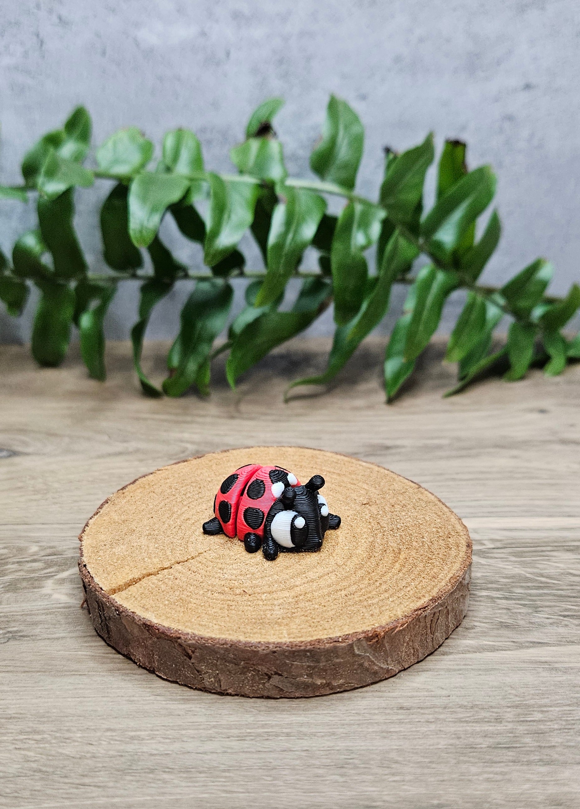 Mini Ladybug