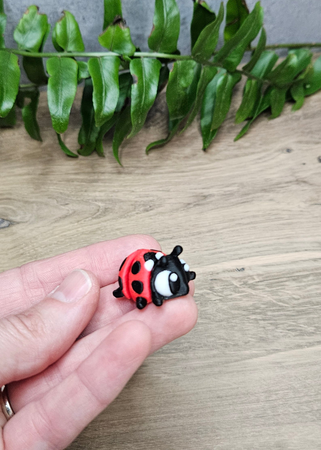 Mini Ladybug
