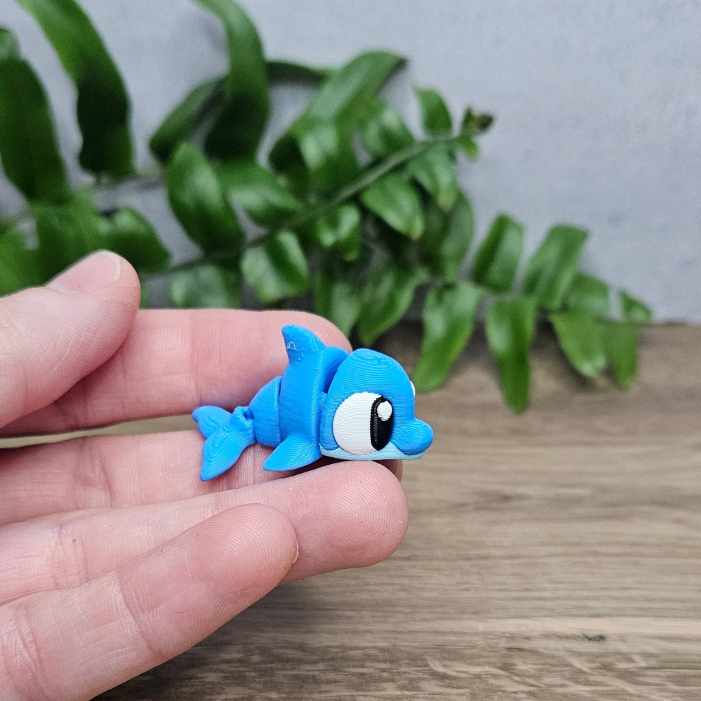 Mini Dolphin