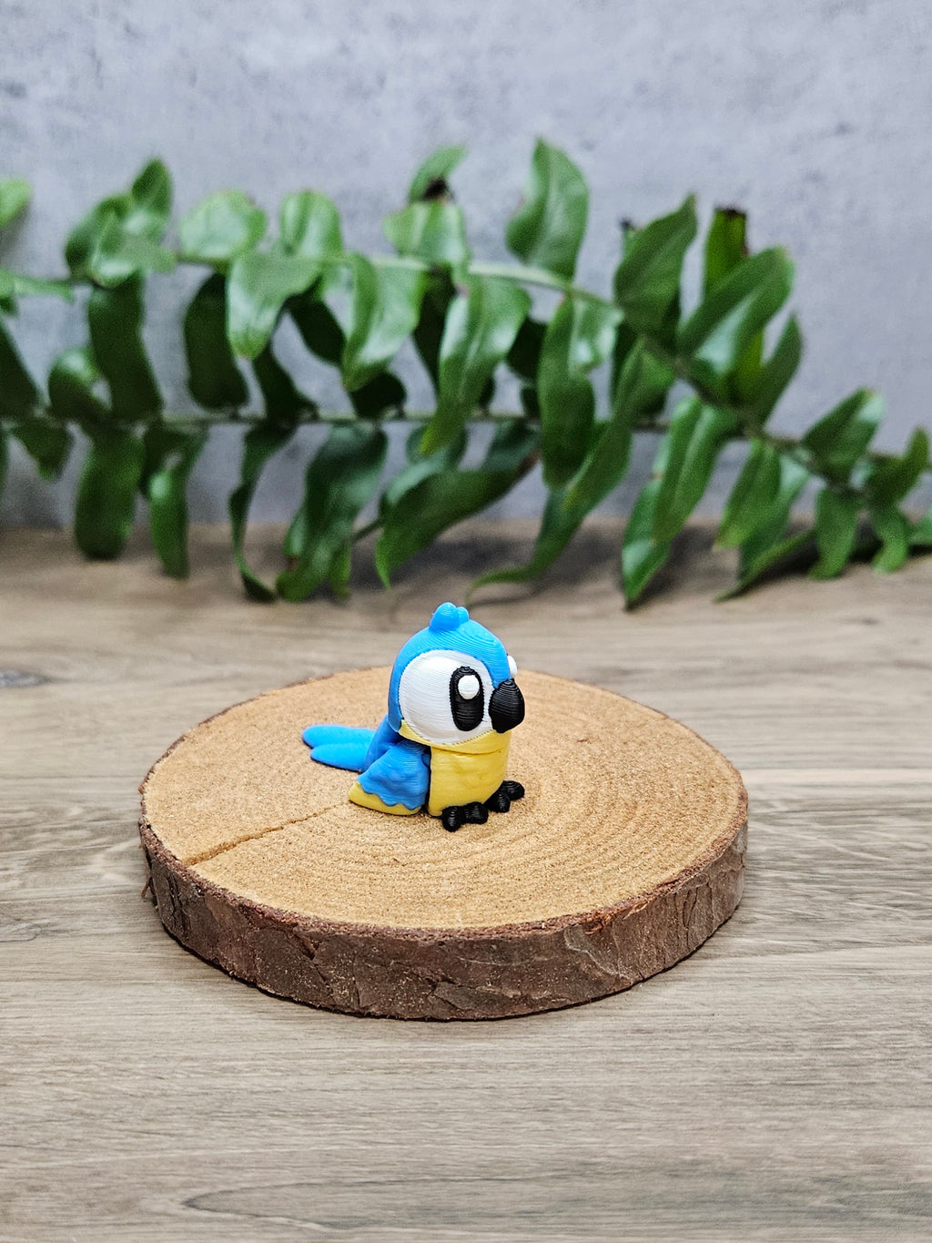 Mini Macaw