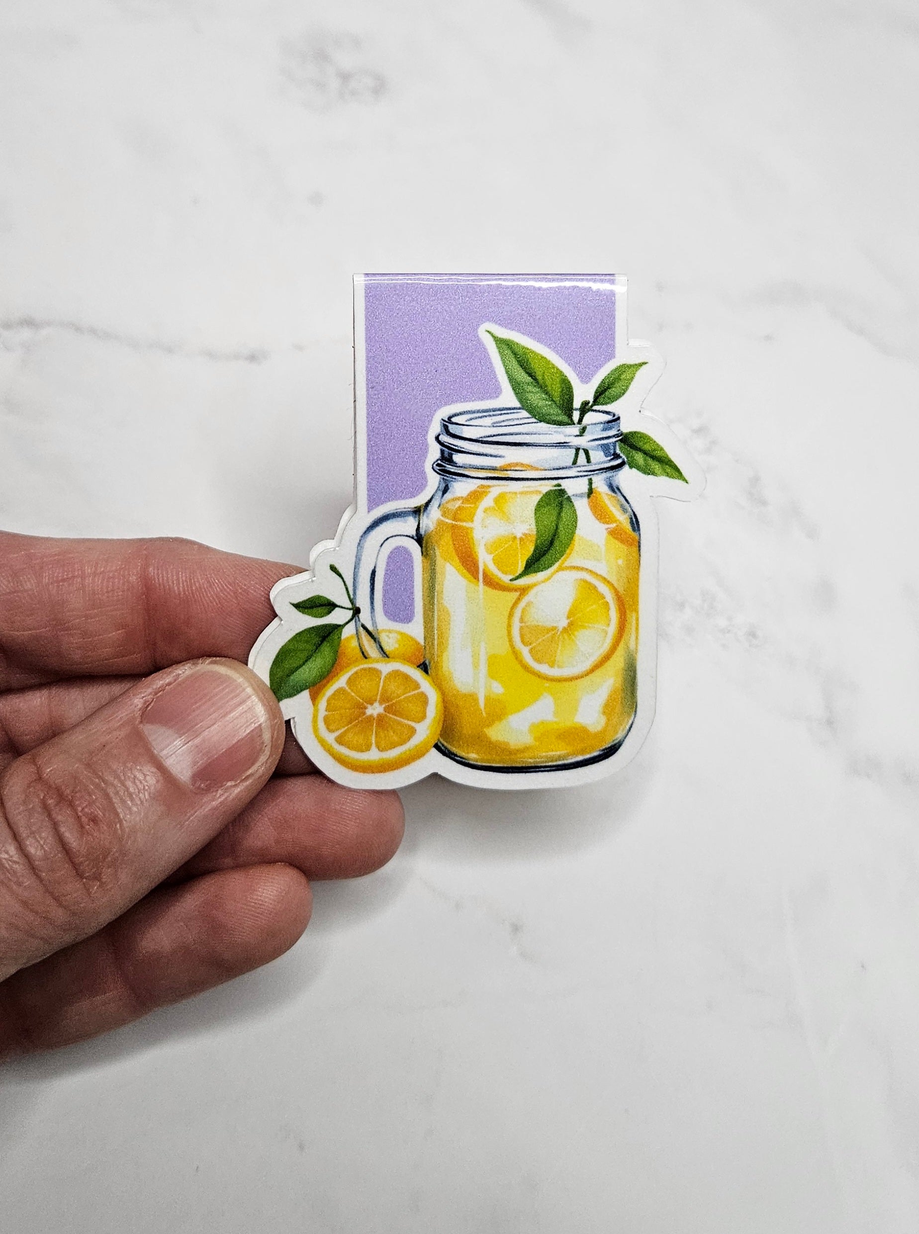 Sip & Read Lemonade Magnetic Bookmark