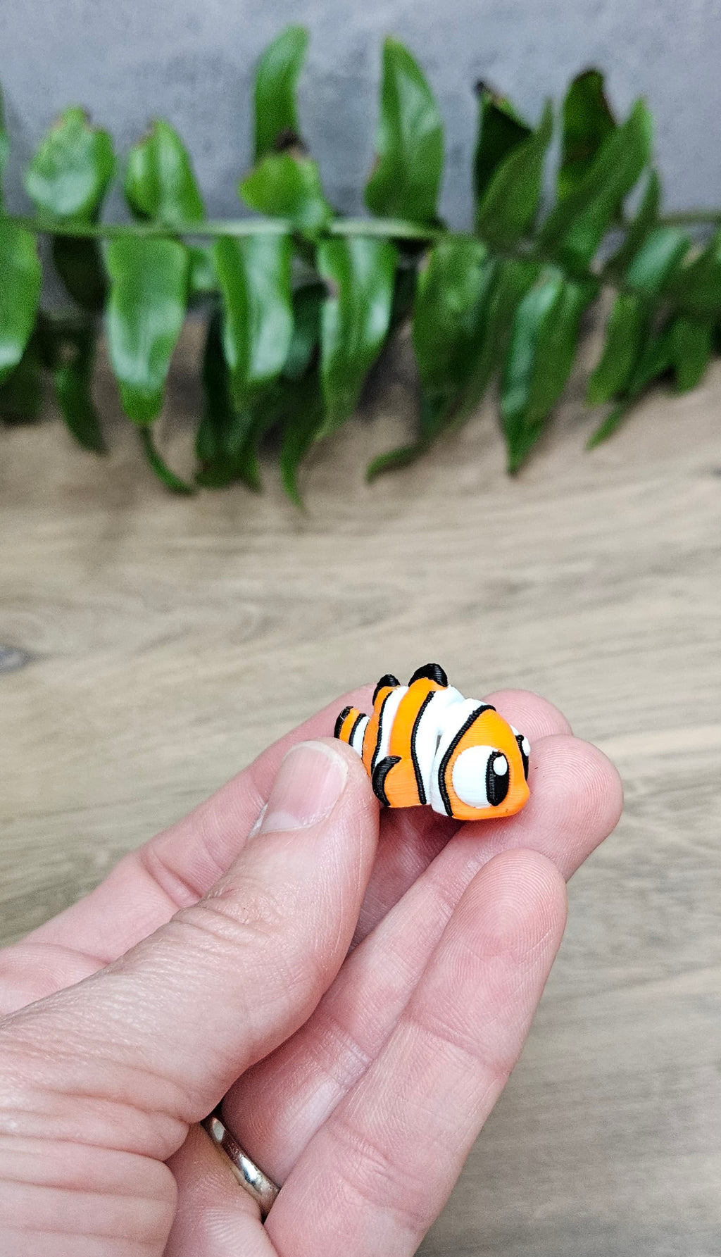Mini Clown Fish
